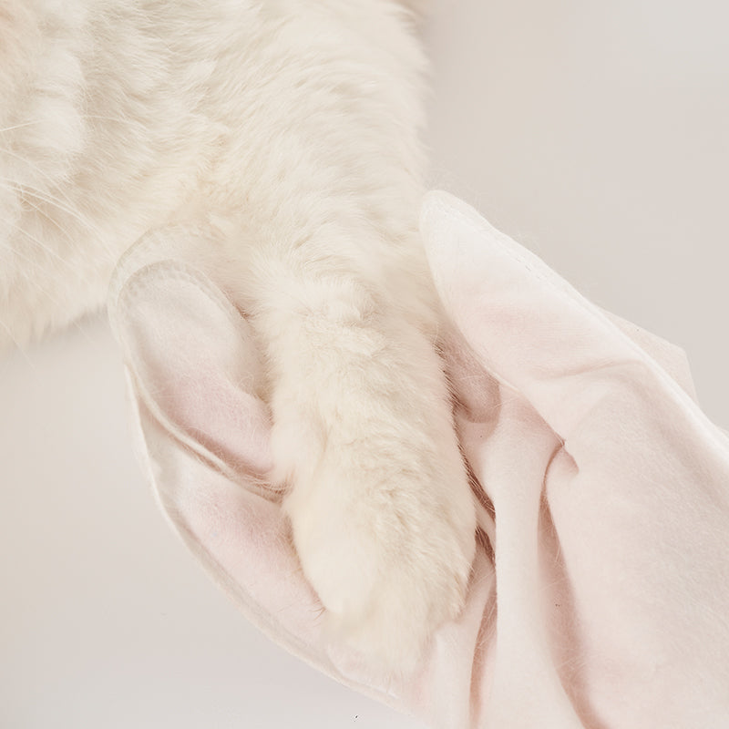 Amo Petric No-Washing SPA Glove with blue cypress