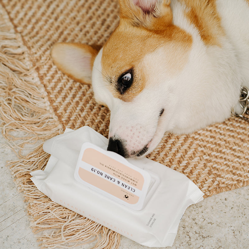 Amo Petric  Wet Wipes with Jojoba Oil for Pets