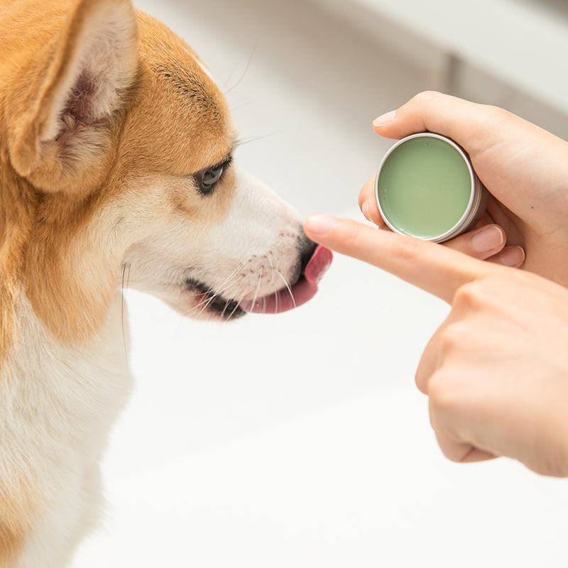 Amo petric Organic Avocado Nasal Cream