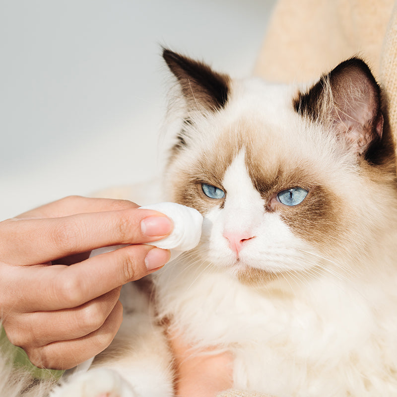 Amo Petric  Wet Wipes with Jojoba Oil for Pets