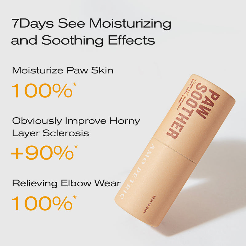 Amo Petric Oranic Sea Buckthorn Fruit Foot Cream(Portable version)