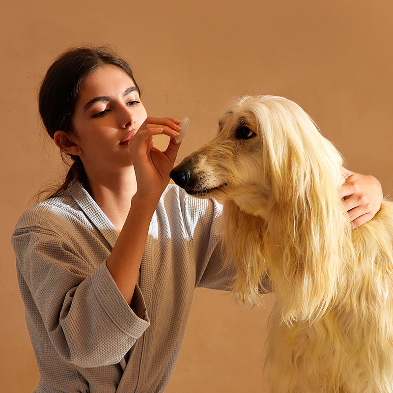 Amo Petric Blackberry leaf pet tear stain cleaning cotton pads