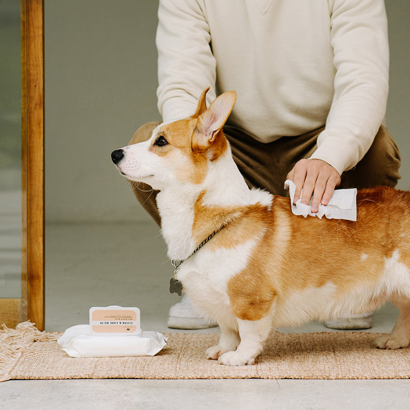 Amo Petric  Wet Wipes with Jojoba Oil for Pets