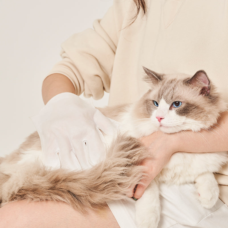 Amo Petric No-Washing SPA Glove with blue cypress