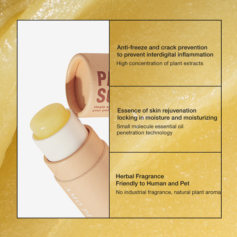 Amo Petric Oranic Sea Buckthorn Fruit Foot Cream(Portable version)