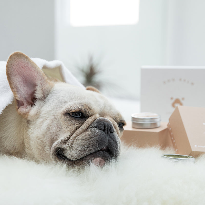 Amo petric Organic Avocado Nasal Cream