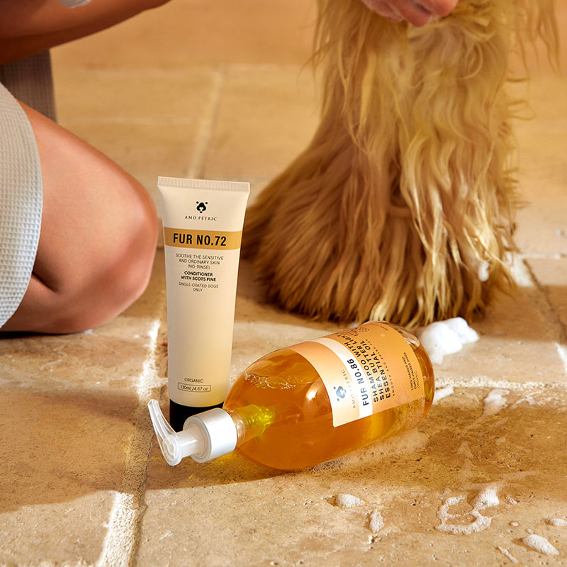 Amo PetricConditioner With Siberian Cucumber