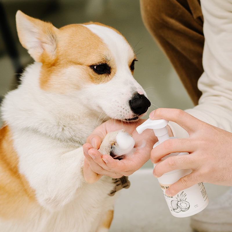 Amo Petric Pet Pawe Cleaner No-rinse Bacteriostatic Foam